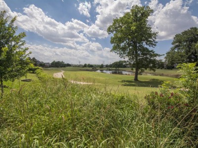 Riverchase fairway