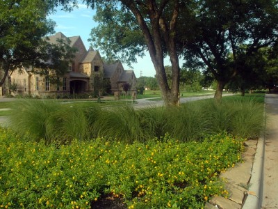 Estes Park Landscaped Median