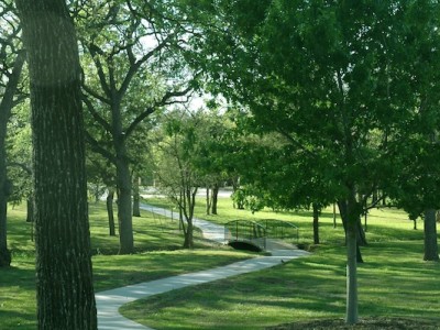 Hiking Trail in Green Space