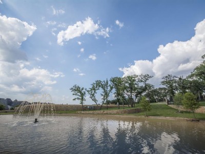 Preservation Pond