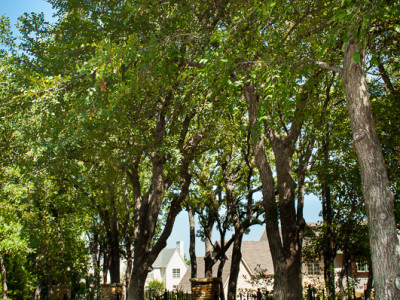 Round Stone Columns and Steel Fence Mark the Property of The Enclave