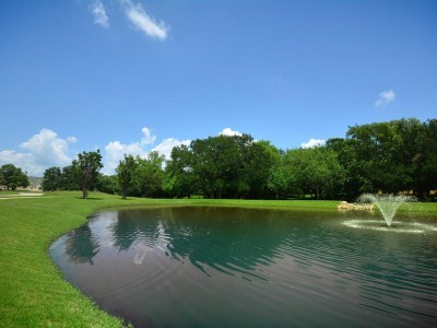 Terra Bella Pond